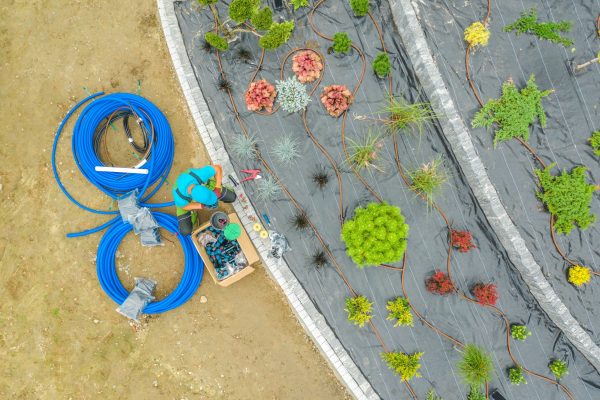 Aerial View of Professional Gardener Installing Backyard Garden Irrigation System. Landscaping Industry Theme.
