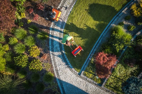 Caucasian Gardener in His 40s Fertilizing Residential Backyard Lawn