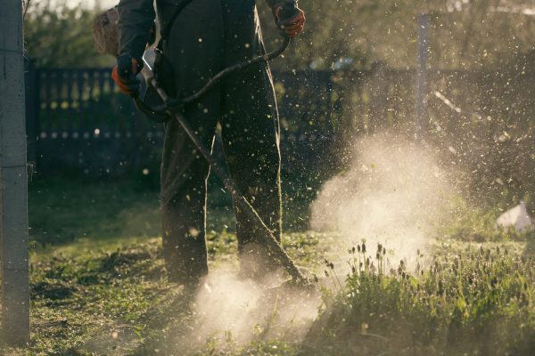 Mowing the grass with a lawn mower. Garden work concept background.