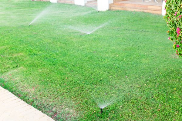 Sprinkler in garden watering the lawn. Automatic watering lawns concept.